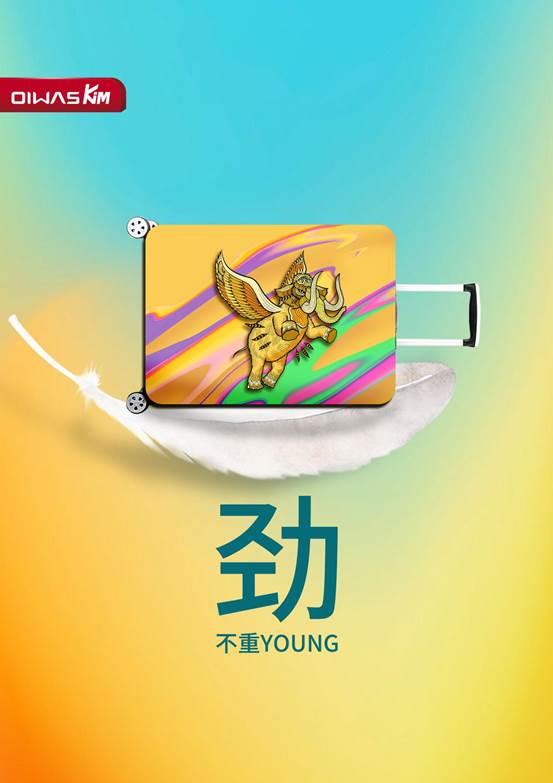爱华仕系列之二