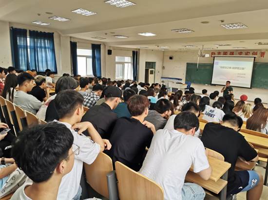 101350eb23eae576796b319953d7a0d