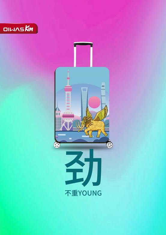 爱华仕系列之三